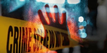 Untitled design 2026 02 08T144212.078