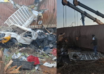 Untitled design 2026 02 10T105901.139