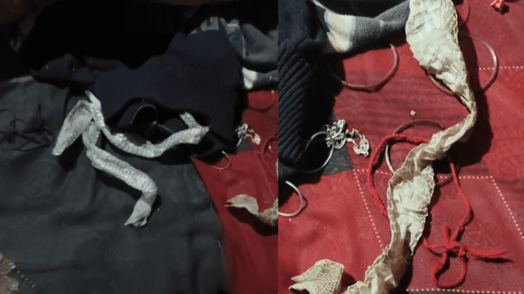 Untitled design 2026 02 10T131052.783