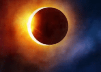 Untitled design 2026 02 11T221106.585