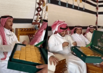 Untitled design 2026 02 12T113224.187