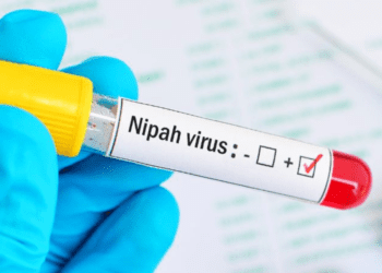 Untitled design 2026 02 12T213211.815