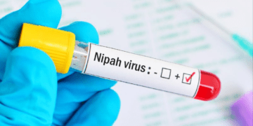 Untitled design 2026 02 12T213211.815