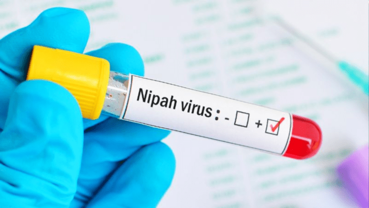 Untitled design 2026 02 12T213211.815