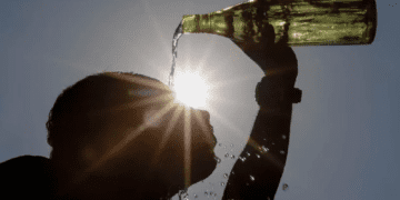 Untitled design 2026 02 13T083510.810