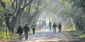 Untitled design 2026 02 14T081816.249