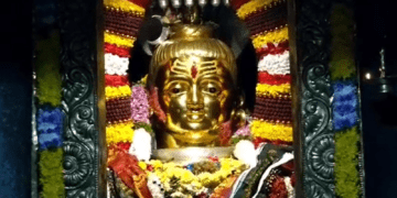 Untitled design 2026 02 15T165355.133