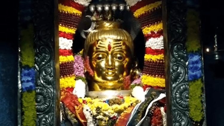 Untitled design 2026 02 15T165355.133