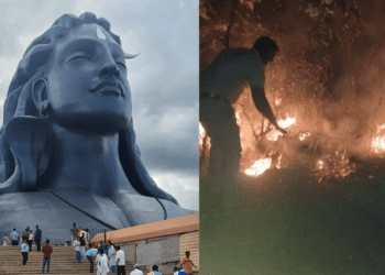 Untitled design 2026 02 15T210702.014