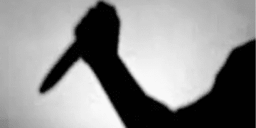 Untitled design 2026 02 16T212735.245