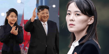 Untitled design 2026 02 17T082231.688