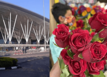 Untitled design 2026 02 17T180530.830