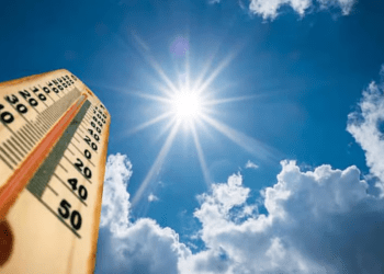 Untitled design 2026 02 18T071357.504