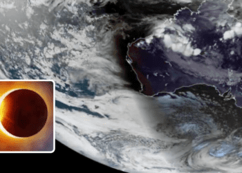 Untitled design 2026 02 18T125456.065