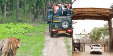 Untitled design 2026 02 18T195023.031