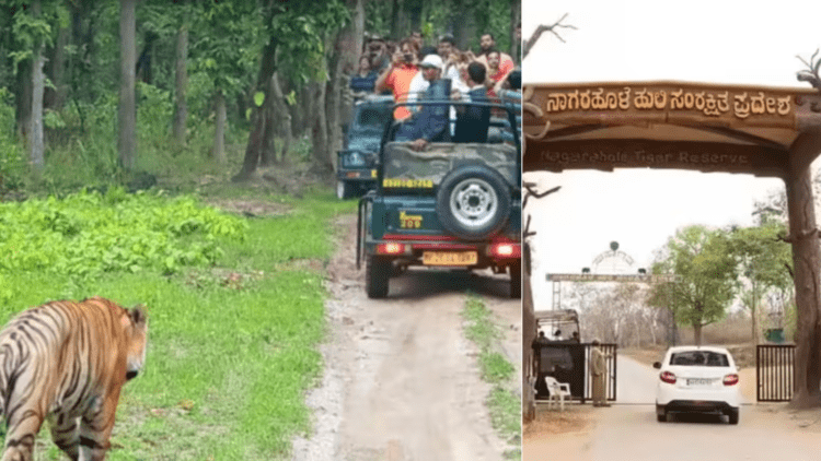 Untitled design 2026 02 18T195023.031