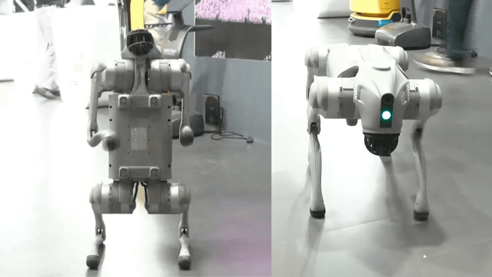 ಎಐ ಶೃಂಗಸಭೆಯಲ್ಲಿ ರೋಬೋ ಡಾಗ್ ವಿವಾದ: ಗಾಲ್ಗೋಟಿಯಾಸ್ ವಿವಿ ಕ್ಷಮೆಯಾಚನೆ