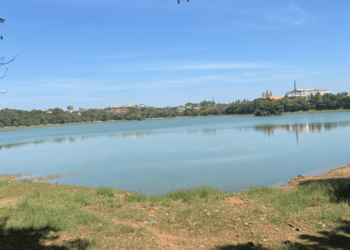 Untitled design 2026 02 19T072116.906