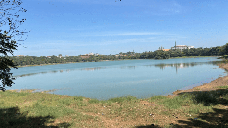 Untitled design 2026 02 19T072116.906