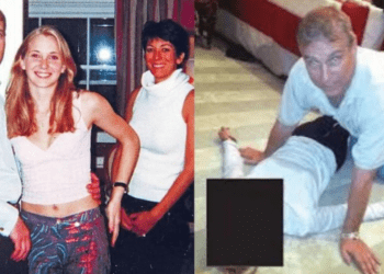 Untitled design 2026 02 19T164837.917