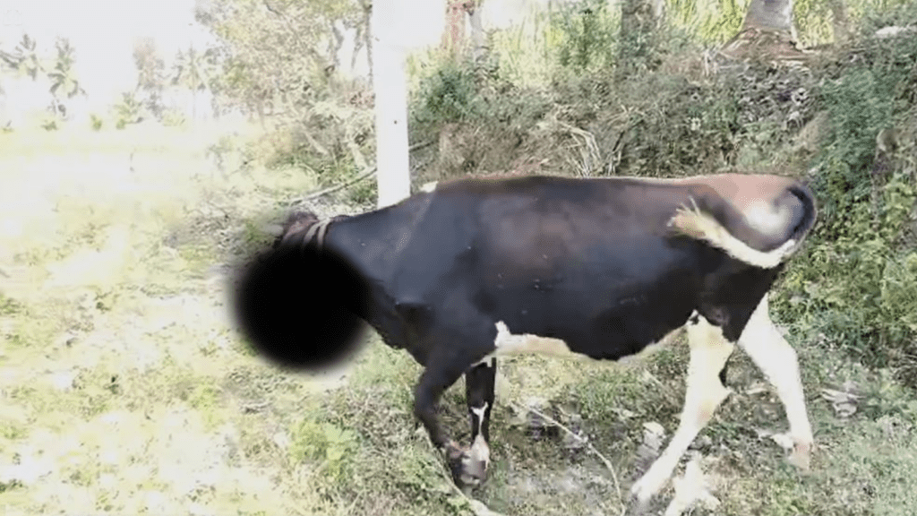 Untitled design 2026 02 19T210249.097