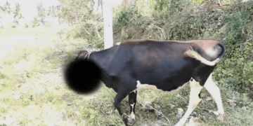 Untitled design 2026 02 19T210249.097