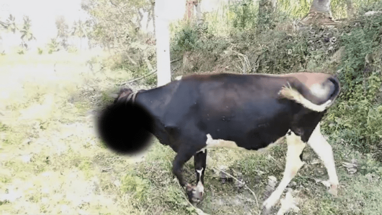 Untitled design 2026 02 19T210249.097