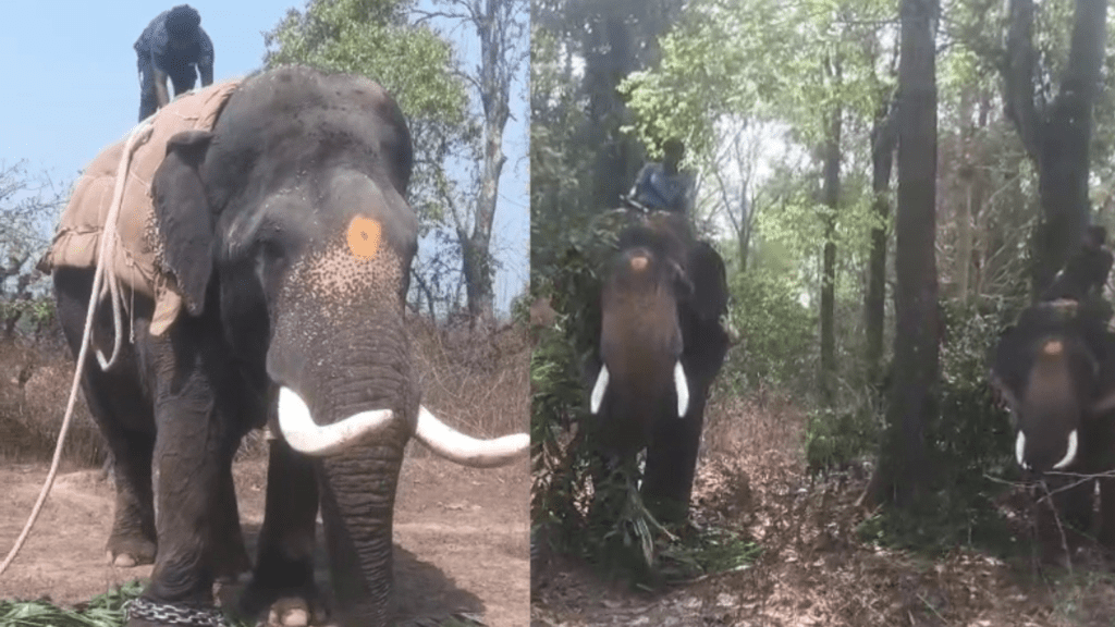 Untitled design 2026 02 20T170506.057