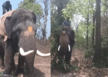 Untitled design 2026 02 20T170506.057