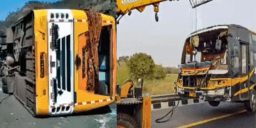 Untitled design 2026 02 23T215546.956