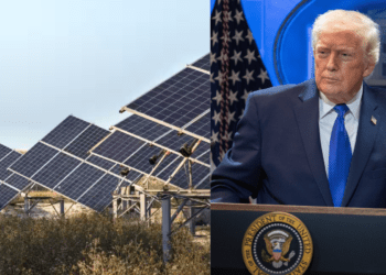 Untitled design 2026 02 26T111114.828