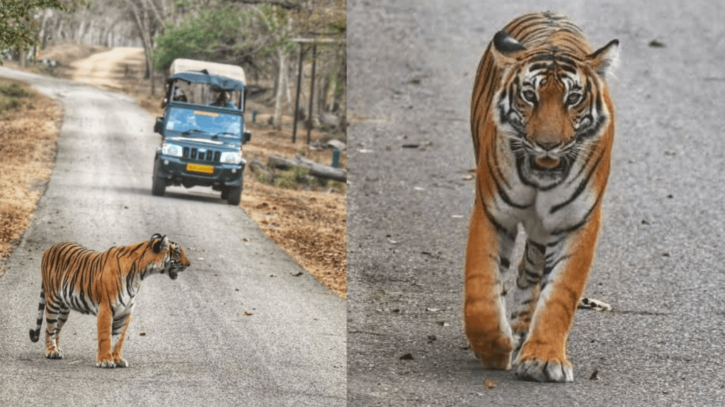 Untitled design 2026 02 28T071916.230