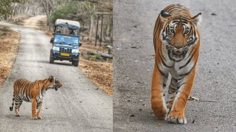 Untitled design 2026 02 28T071916.230