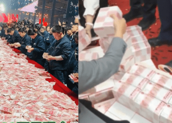 Untitled design 2026 02 28T112323.091