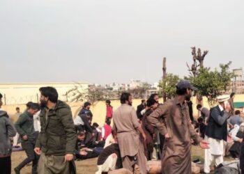 WhatsApp Image 2026 02 06 at 15.42.12