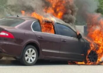 BeFunky collage (15)