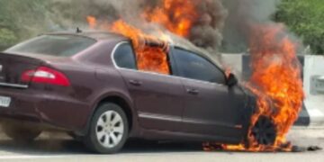 BeFunky collage (15)