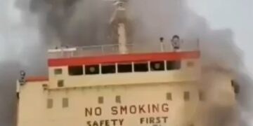 BeFunky collage 2026 03 02T182719.803