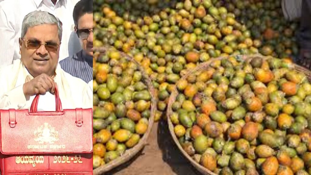 BeFunky collage 2026 03 06T125332.738