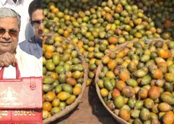 BeFunky collage 2026 03 06T125332.738