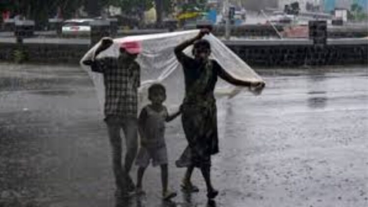 BeFunky collage 2026 03 21T090502.315