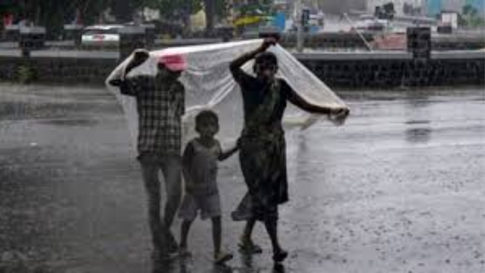 The Art of Baking: From Classic Bread to Artisan Pastries