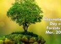 International Day of Forests