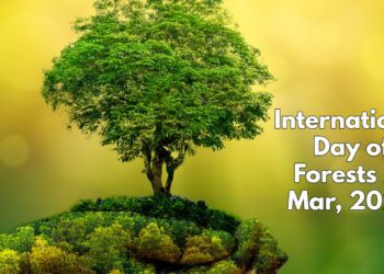 International Day of Forests