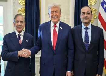 BeFunky collage 2026 03 24T110340.328