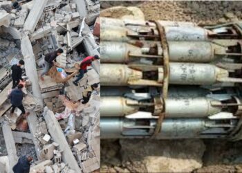 BeFunky collage 2026 03 24T130950.776