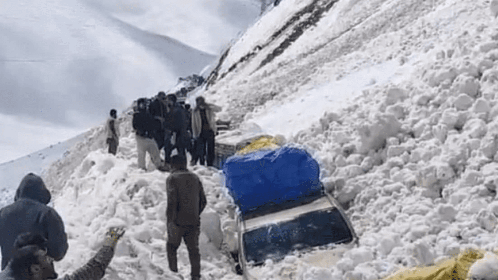 Untitled design (13)