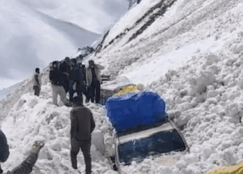 Untitled design (13)