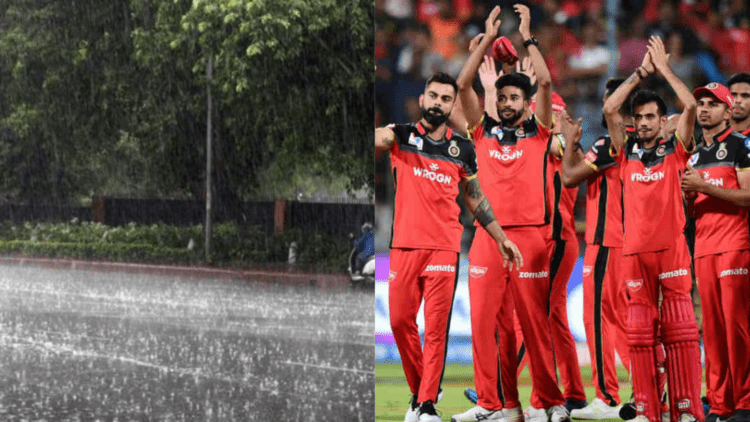 Untitled design (14)