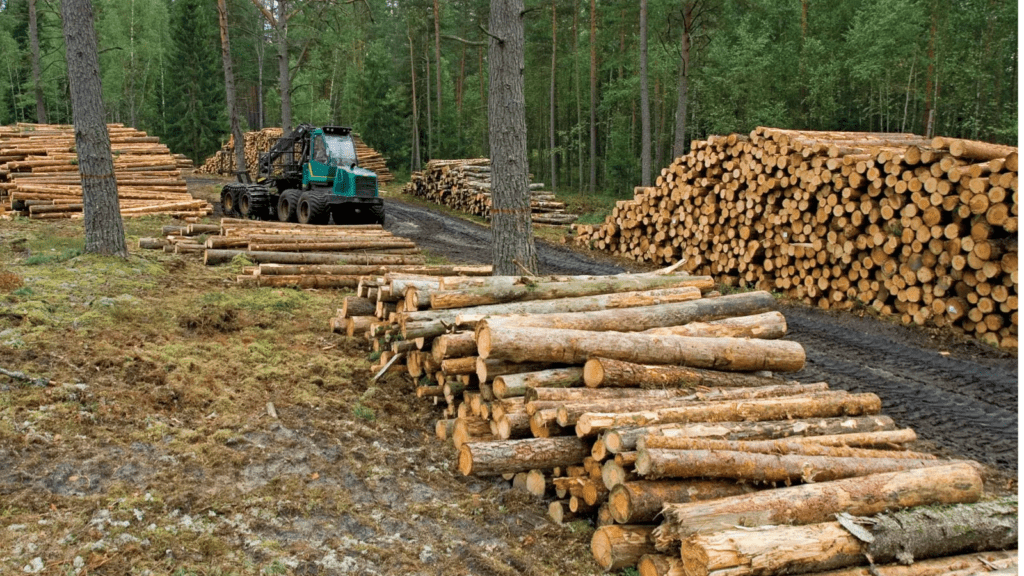 Untitled design (15)